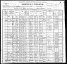 1900 United States Federal Census