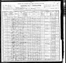 1900 United States Federal Census