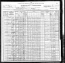 1900 United States Federal Census