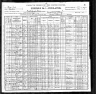 1900 United States Federal Census