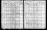 New York, State Census, 1905