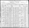 1900 United States Federal Census