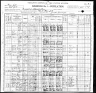 1900 United States Federal Census